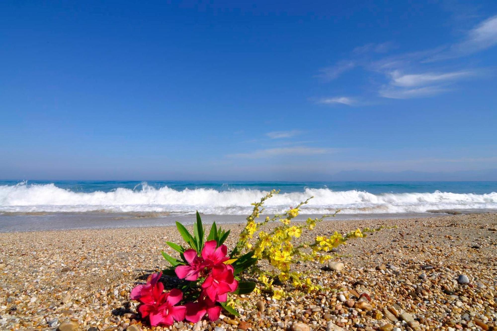 Almyra Beach House Corfu Almiros Beach エクステリア 写真